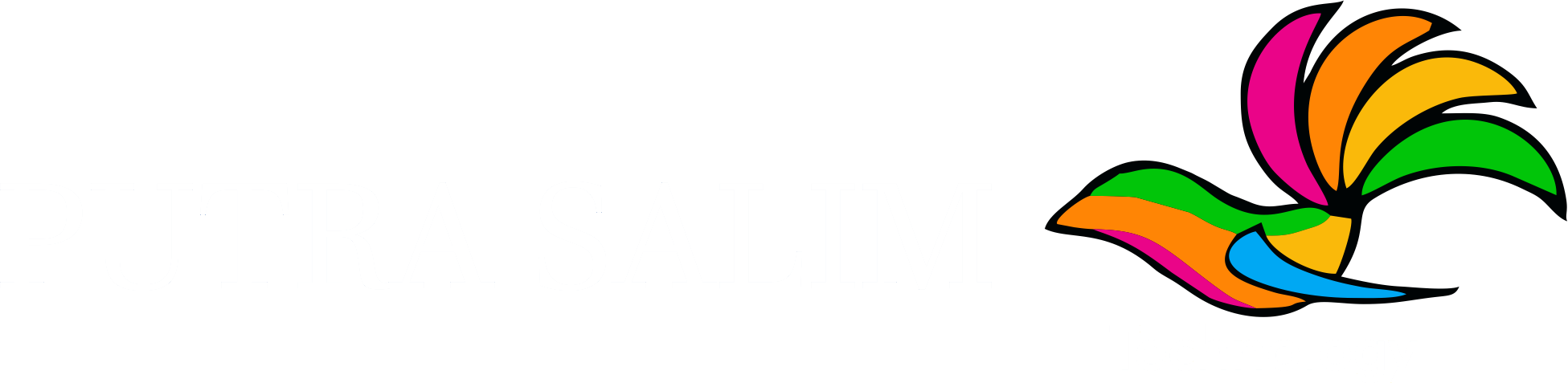 PT Putra Salim Teknologi